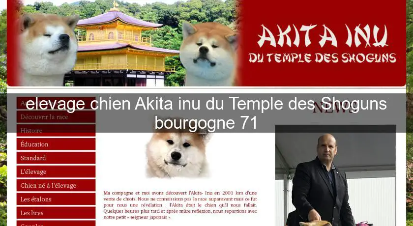 elevage chien Akita inu du Temple des Shoguns bourgogne 71