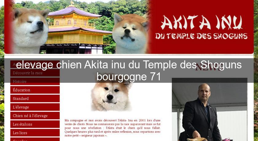 elevage chien Akita inu du Temple des Shoguns bourgogne 71 Eleveur