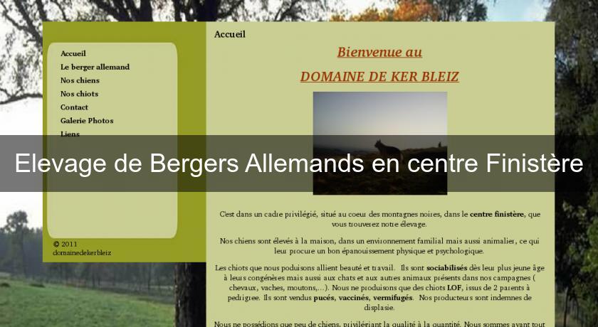 Elevage de Bergers Allemands en centre Finistère