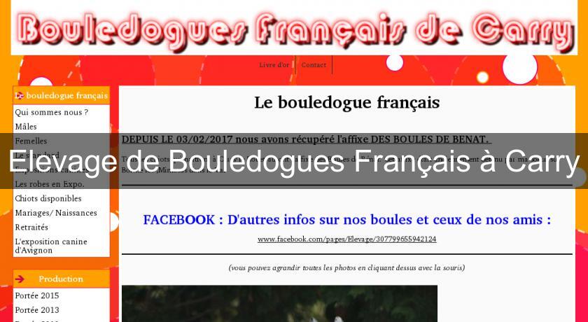 Elevage de Bouledogues Français à Carry Elevage de Bouledogues Français à Carry