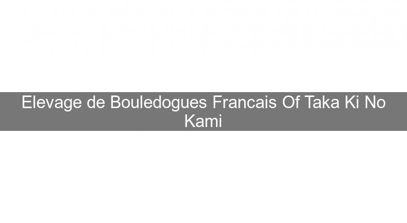 Elevage de Bouledogues Francais Of Taka Ki No Kami Elevage de Bouledogues Francais Of Taka Ki No Kami