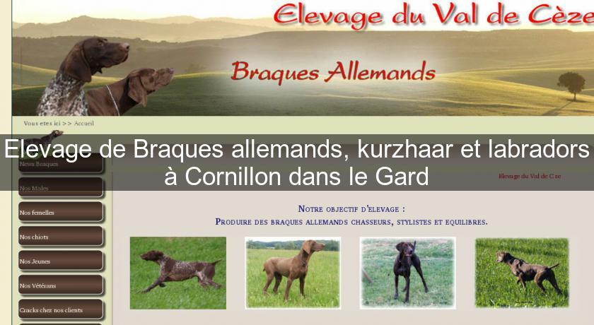 Elevage de Braques allemands, kurzhaar et labradors à Cornillon dans le Gard Elevage de Braques allemands, kurzhaar et labradors à Cornillon dans le Gard