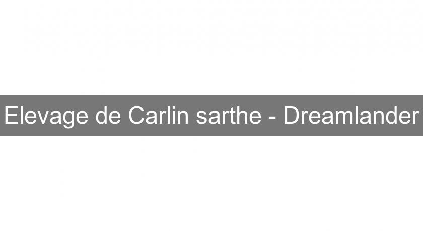 Elevage de Carlin sarthe - Dreamlander