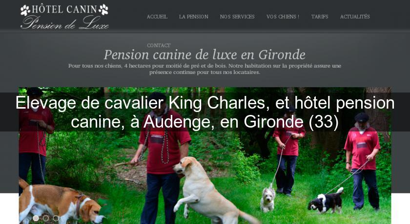 Elevage de cavalier King Charles, et hôtel pension canine, à Audenge, en Gironde (33)