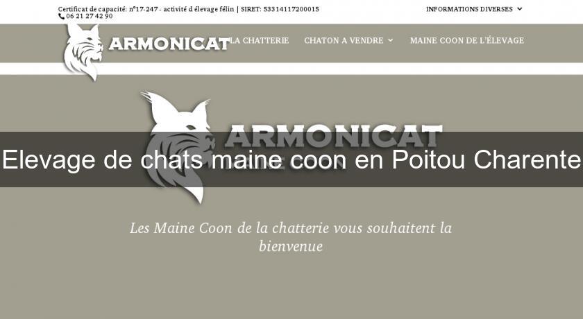 Elevage de chats maine coon en Poitou Charente