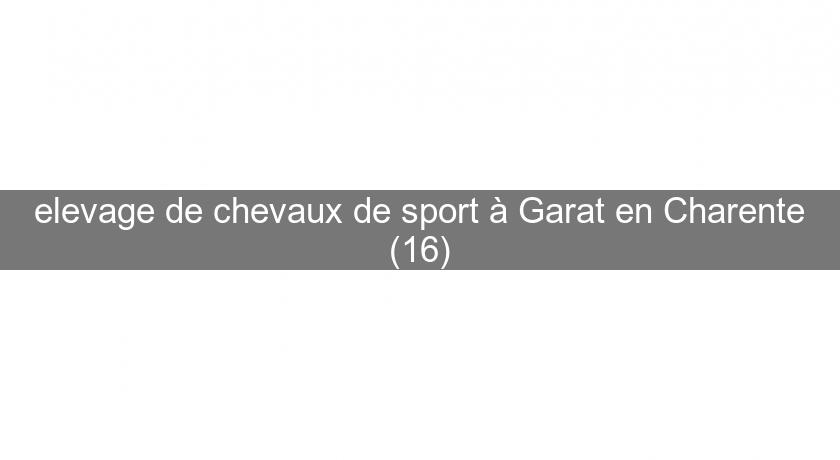elevage de chevaux de sport à Garat en Charente (16) elevage de chevaux de sport à Garat en Charente (16)