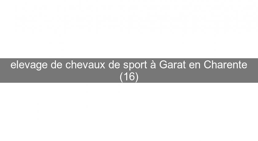 elevage de chevaux de sport à Garat en Charente (16)