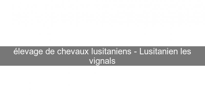 élevage de chevaux lusitaniens - Lusitanien les vignals