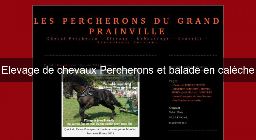 Elevage de chevaux Percherons et balade en calèche