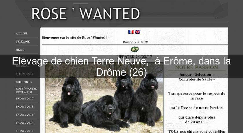 Elevage de chien Terre Neuve, à Erôme, dans la Drôme (26) Eleveur