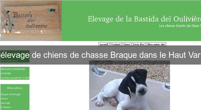 élevage de chiens de chasse Braque dans le Haut Var