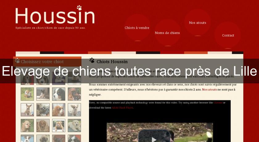 Elevage de chiens toutes race près de Lille Elevage de chiens toutes race près de Lille