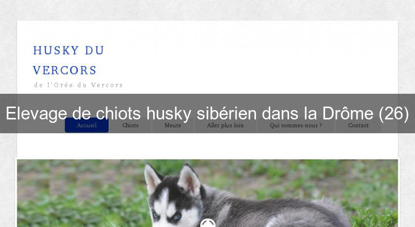 Elevage de chiots husky sibérien dans la Drôme (26) Elevage de chiots husky sibérien dans la Drôme (26)