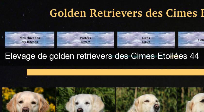 Elevage de golden retrievers des Cimes Etoilées 44