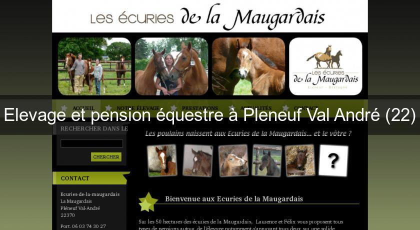 Elevage et pension équestre à Pleneuf Val André (22) Elevage et pension équestre à Pleneuf Val André (22)