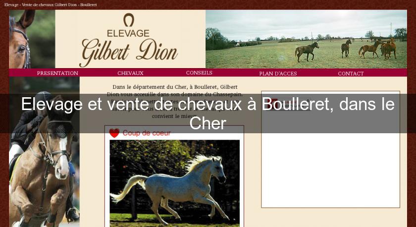 Elevage et vente de chevaux à Boulleret, dans le Cher