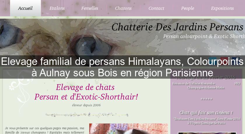 Elevage familial de persans Himalayans, Colourpoints à Aulnay sous Bois en région Parisienne Elevage familial de persans Himalayans, Colourpoints à Aulnay sous Bois en région Parisienne