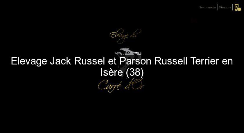 Elevage Jack Russel Et Parson Russell Terrier En Isere 38 Chien