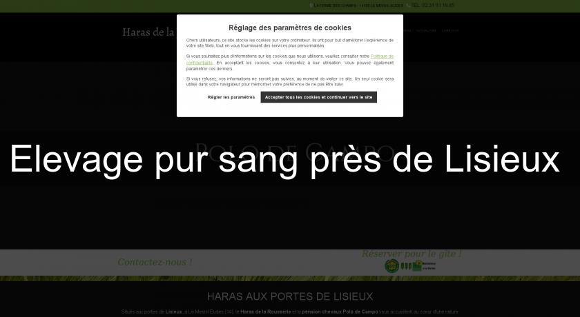 Elevage pur sang près de Lisieux Elevage pur sang près de Lisieux