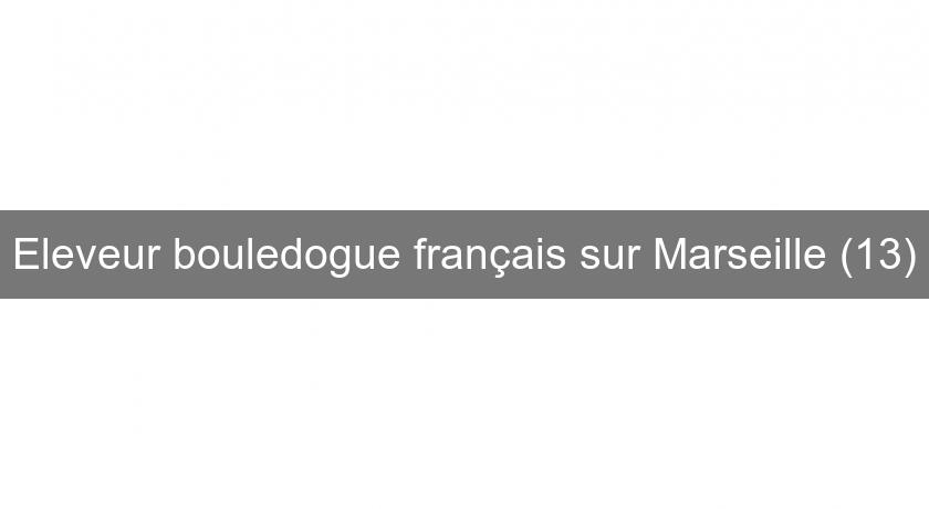 Eleveur Bouledogue Francais Sur Marseille 13 Chien