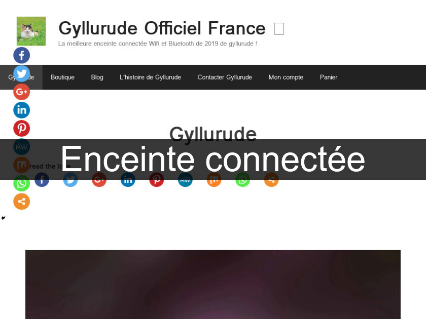 Enceinte connectée