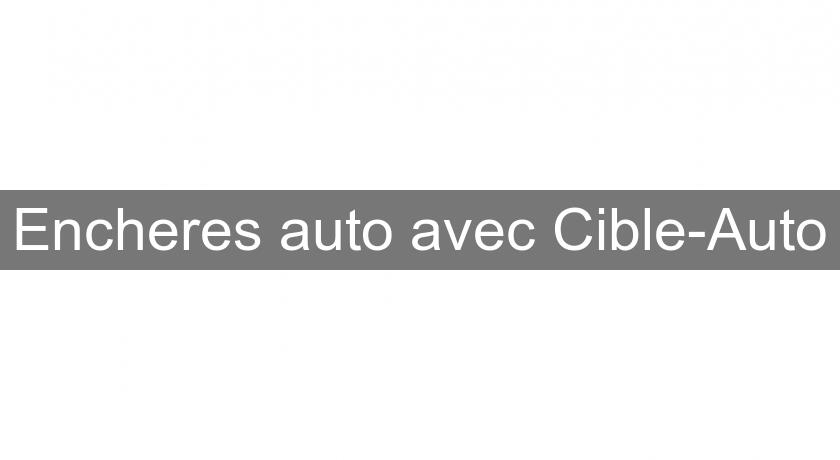 Encheres auto avec Cible-Auto Encheres auto avec Cible-Auto