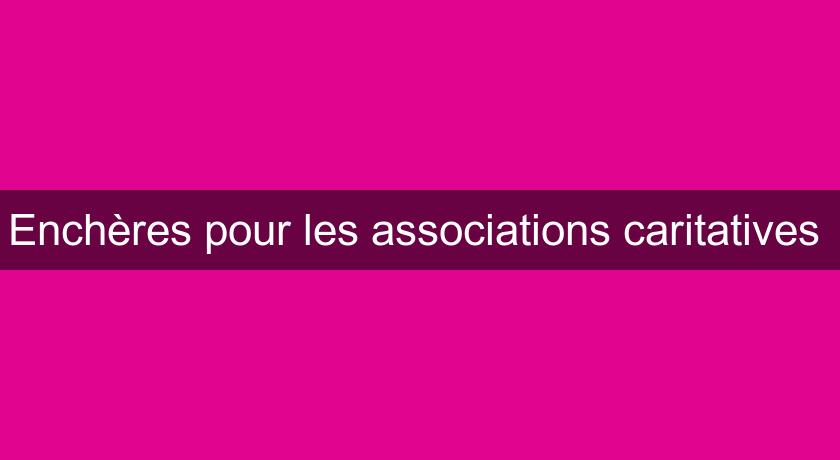 Enchères pour les associations caritatives Enchères pour les associations caritatives