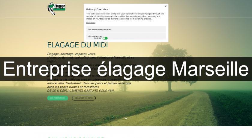 Entreprise élagage Marseille Entreprise élagage Marseille