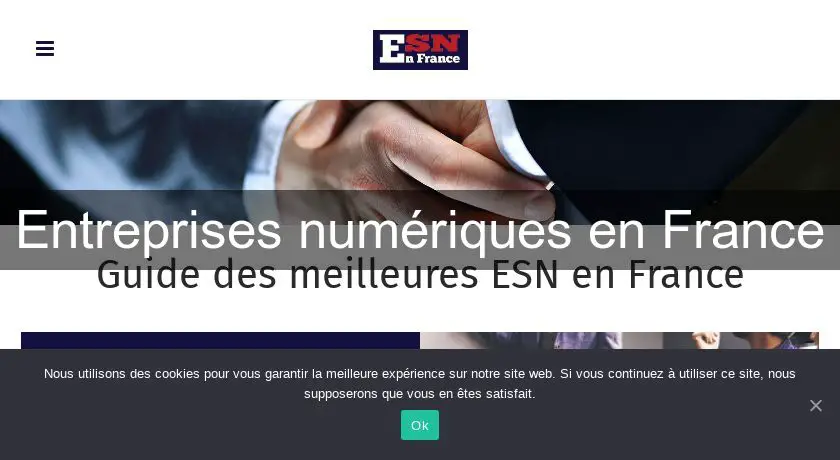 Entreprises numériques en France