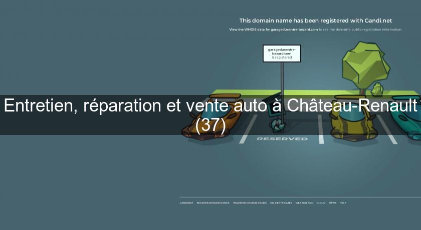 Entretien, réparation et vente auto à Château-Renault (37)