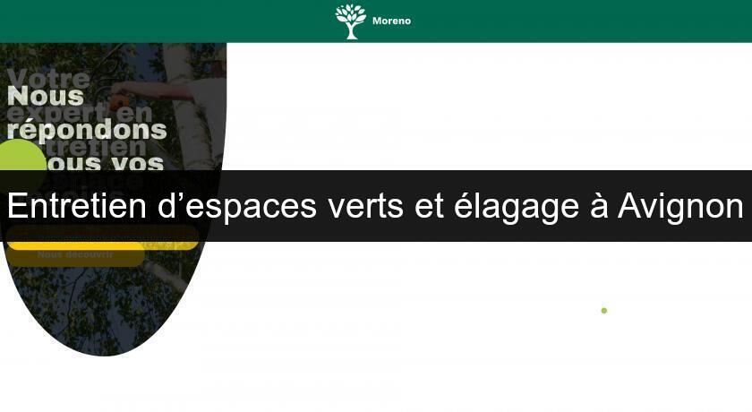 Entretien d’espaces verts et élagage à Avignon