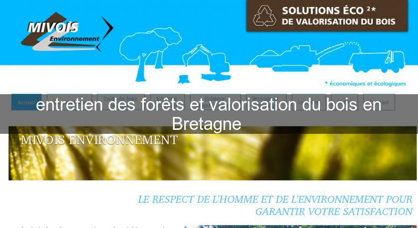 entretien des forêts et valorisation du bois en Bretagne 