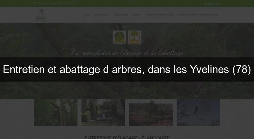 Entretien et abattage d'arbres, dans les Yvelines (78)