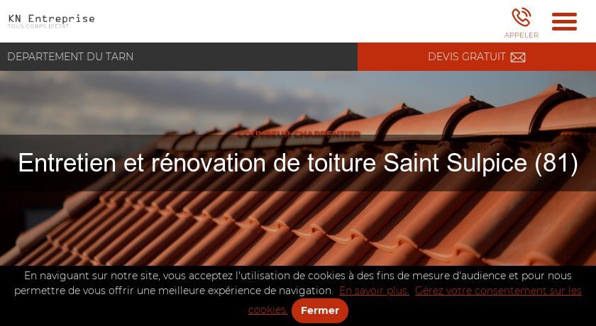 Entretien et rénovation de toiture Saint Sulpice (81) Entretien et rénovation de toiture Saint Sulpice (81)