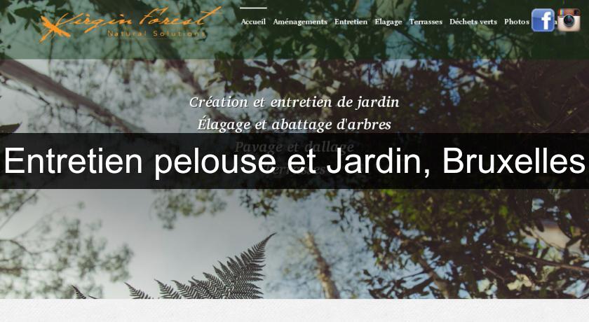 Entretien pelouse et Jardin, Bruxelles Entretien pelouse et Jardin, Bruxelles
