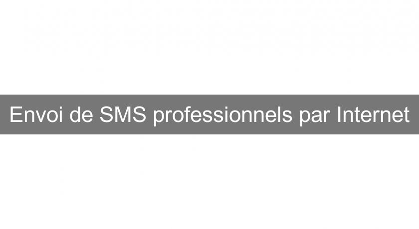 Envoi de SMS professionnels par Internet Envoi de SMS professionnels par Internet