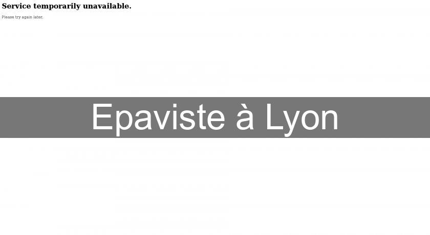 Epaviste à Lyon