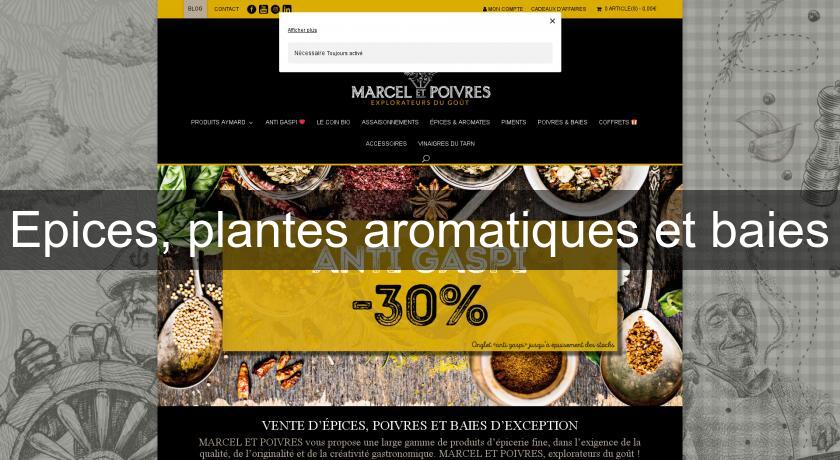 Epices, plantes aromatiques et baies