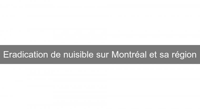 Eradication de nuisible sur Montréal et sa région