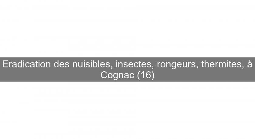 Eradication des nuisibles, insectes, rongeurs, thermites, à Cognac (16)
