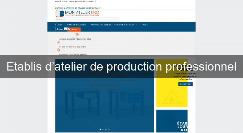 Etablis d’atelier de production professionnel Etablis d’atelier de production professionnel