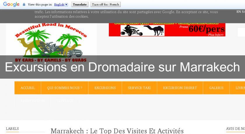 Excursions en Dromadaire sur Marrakech