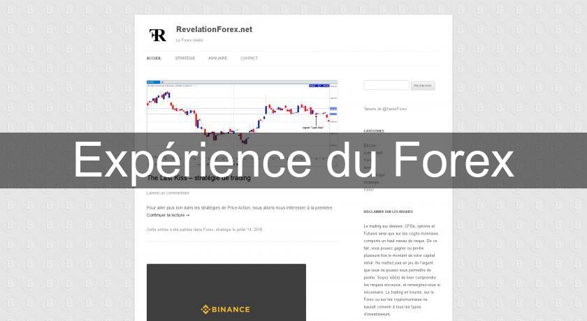Expérience du Forex Expérience du Forex