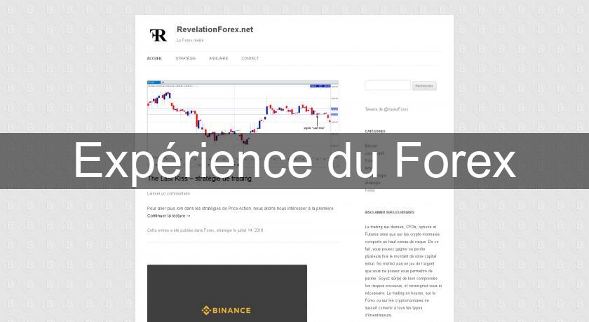 Expérience du Forex