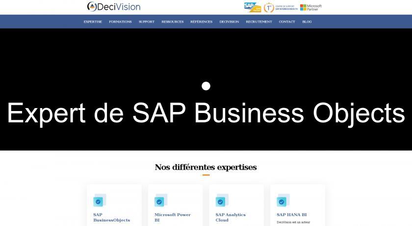 Expert de SAP Business Objects Expert de SAP Business Objects
