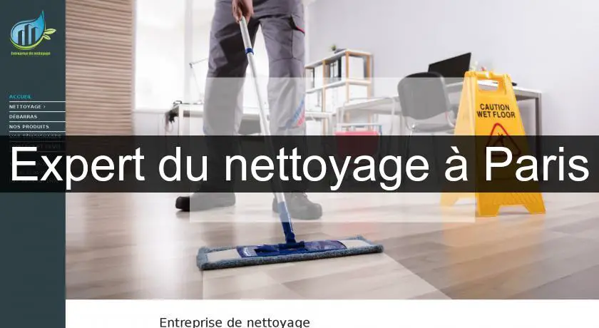 Expert du nettoyage à Paris