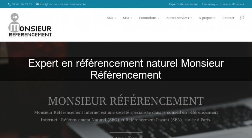 Expert en référencement naturel Monsieur Référencement Expert en référencement naturel Monsieur Référencement