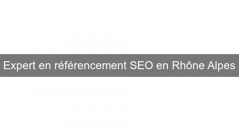 Expert en référencement SEO en Rhône Alpes