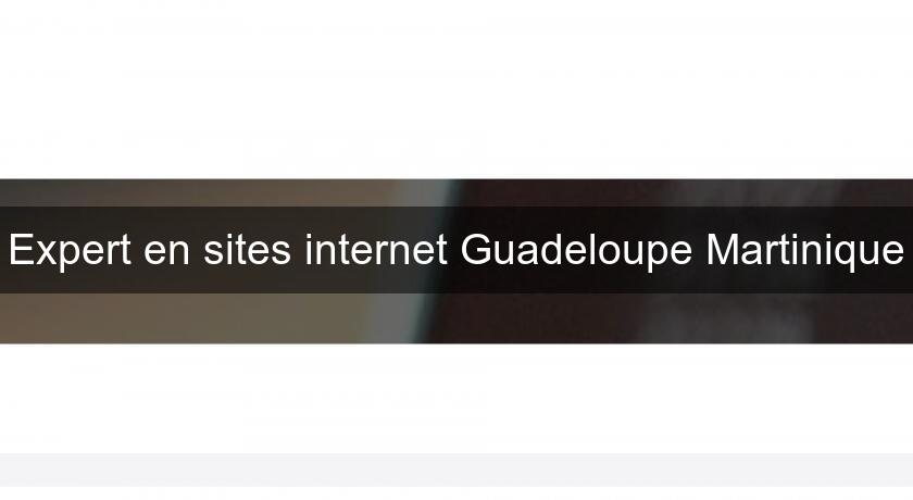 Expert en sites internet Guadeloupe Martinique