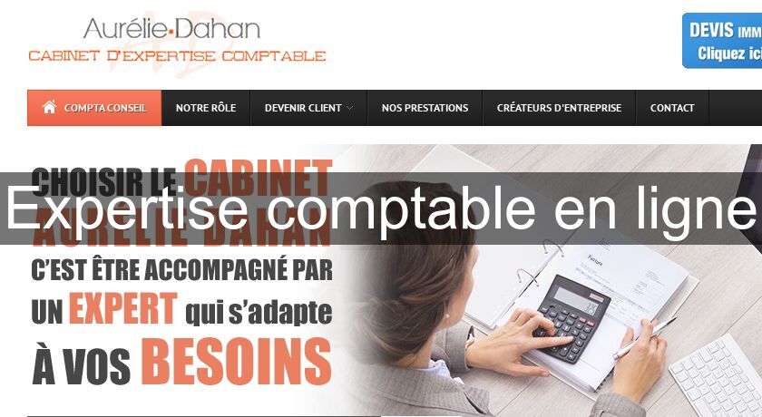 Expertise comptable en ligne